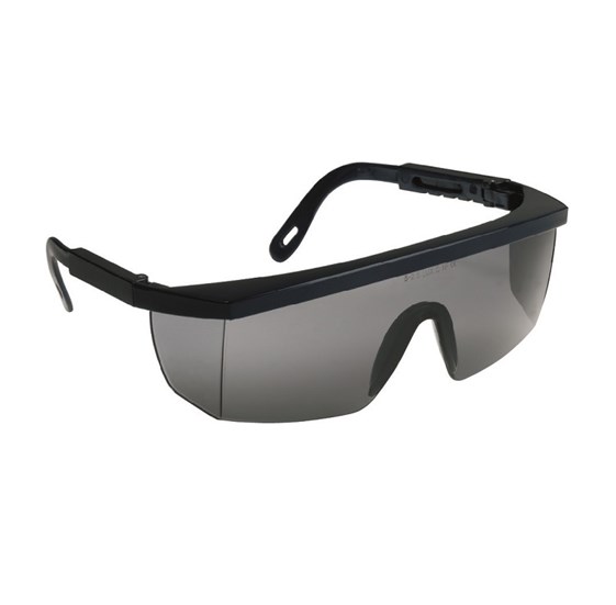 Goggles ECOLUX smoked